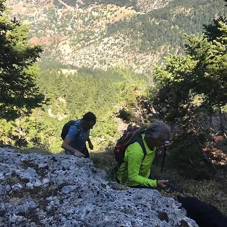 In The Forest * Kalávrita