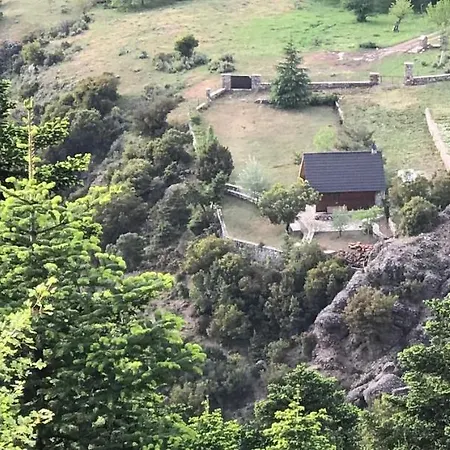 In The Forest Kalávrita