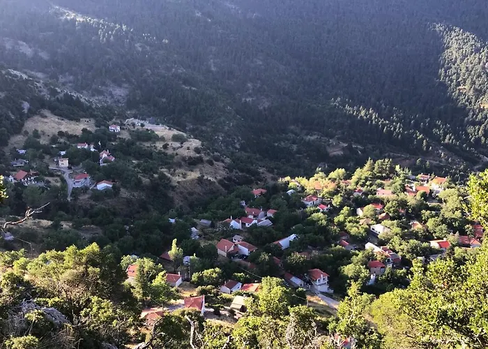 In The Forest Lodge *