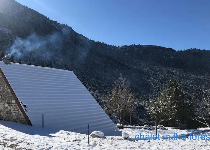 In The Forest Hytte Kalavryta