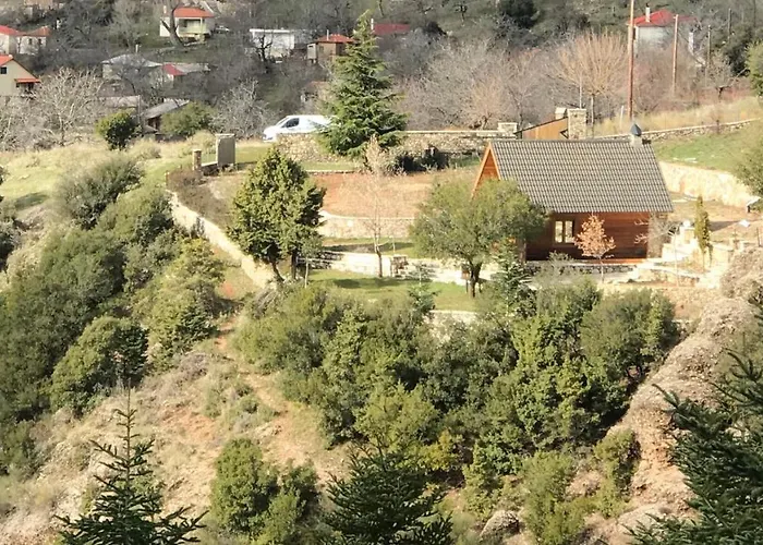 In The Forest 山林小屋