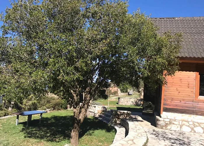 In The Forest אכסניה *