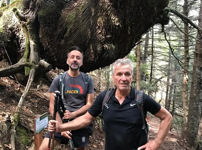 Alojamento de Turismo Selvagem In The Forest *