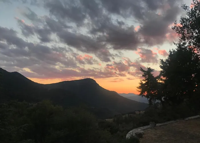 In The Forest * Kalavryta