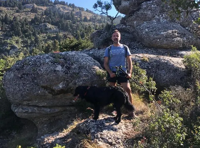 In The Forest Hytte *