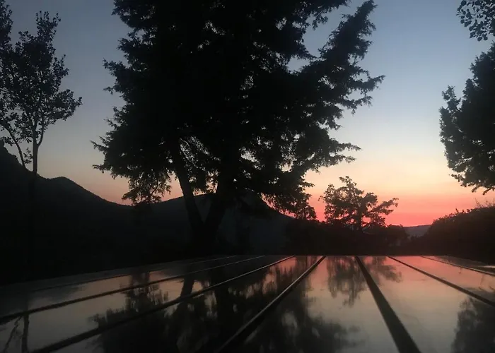 Hytte In The Forest *