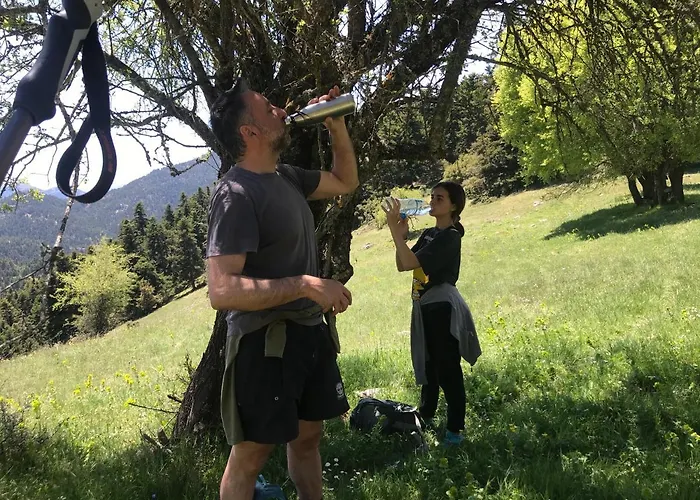 In The Forest Καλάβρυτα