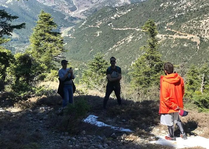 In The Forest אכסניה קלבריטה