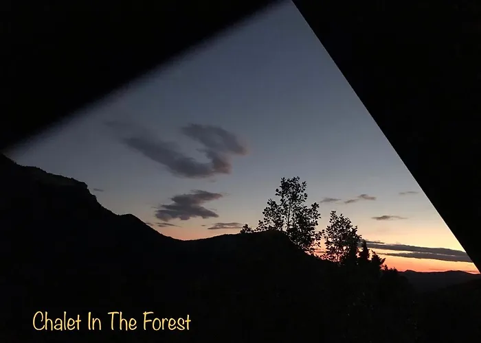 山林小屋 In The Forest *