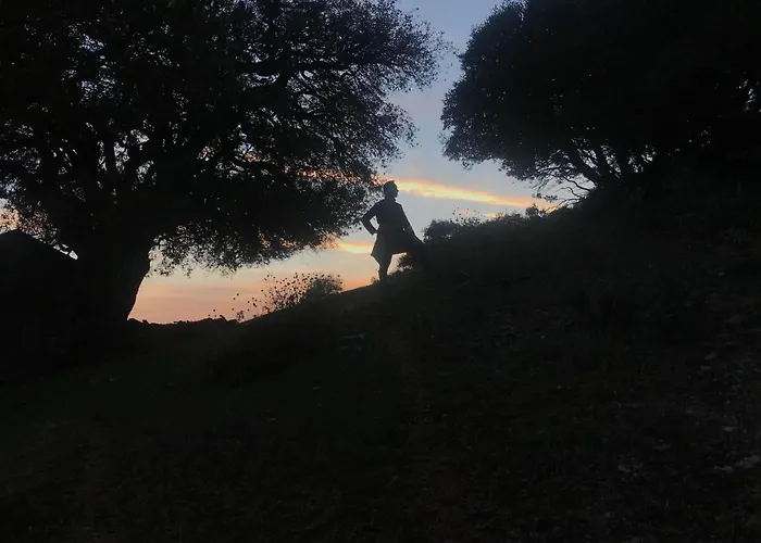 In The Forest * קלבריטה