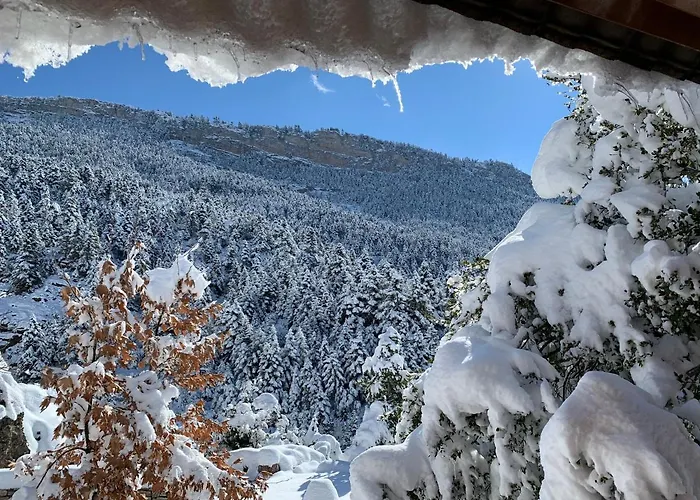 In The Forest Kalavryta