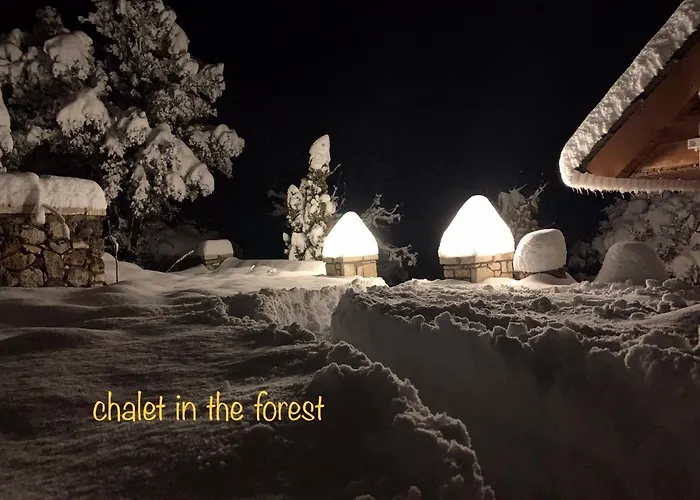 Alojamento de Turismo Selvagem In The Forest Kalavryta