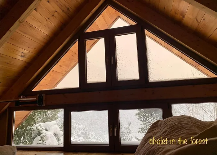 In The Forest 山林小屋 *