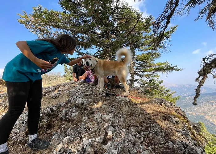 In The Forest * Kalavryta