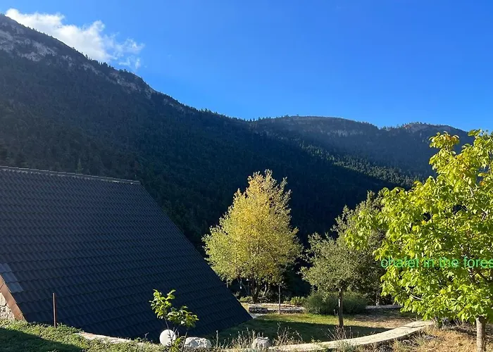 Alojamento de Turismo Selvagem In The Forest *