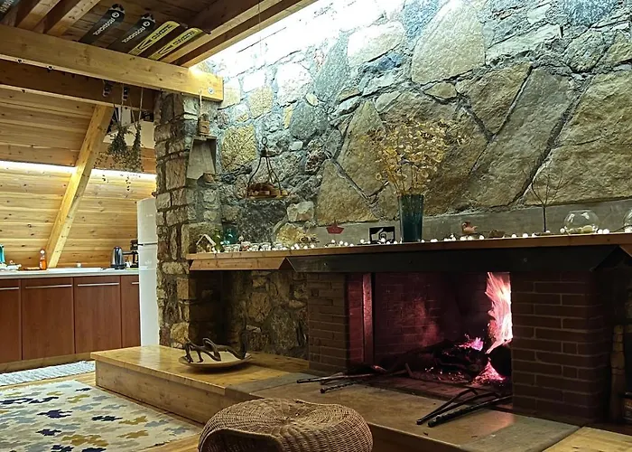 In The Forest Lodge *