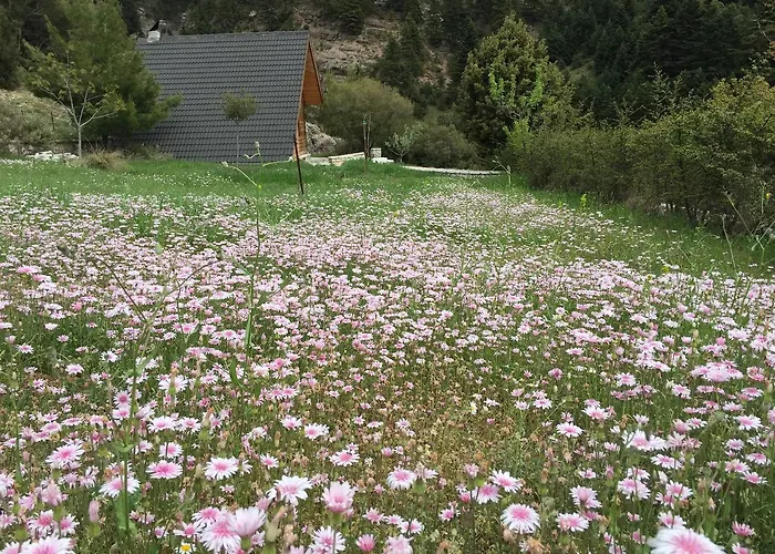 Lodge In The Forest *