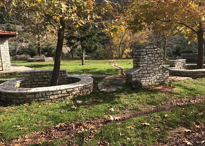 In The Forest קלבריטה