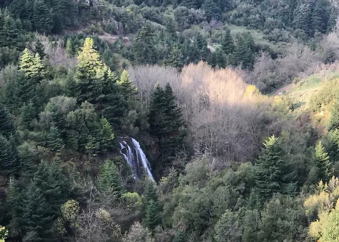 In The Forest Hytte Kalavryta