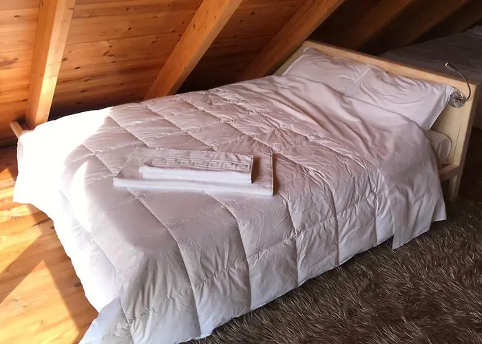 In The Forest 山林小屋