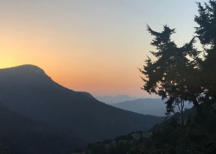 In The Forest Lodge Kalavryta