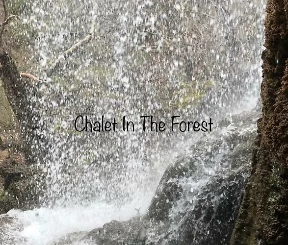 In The Forest Hytte *