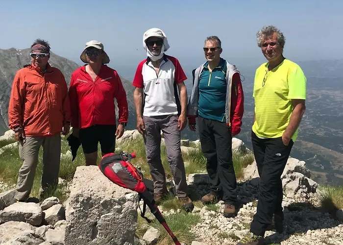 Lodge In The Forest *