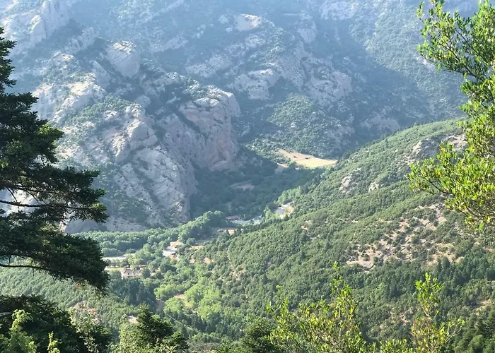 Alojamento de Turismo Selvagem In The Forest