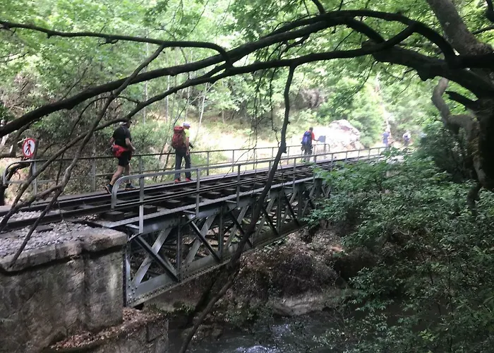 In The Forest Lodge Kalavryta