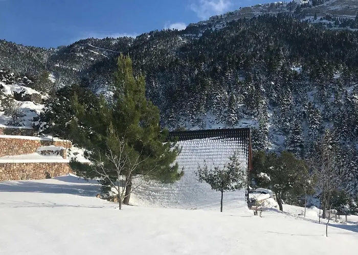 In The Forest Lodge Kalavryta