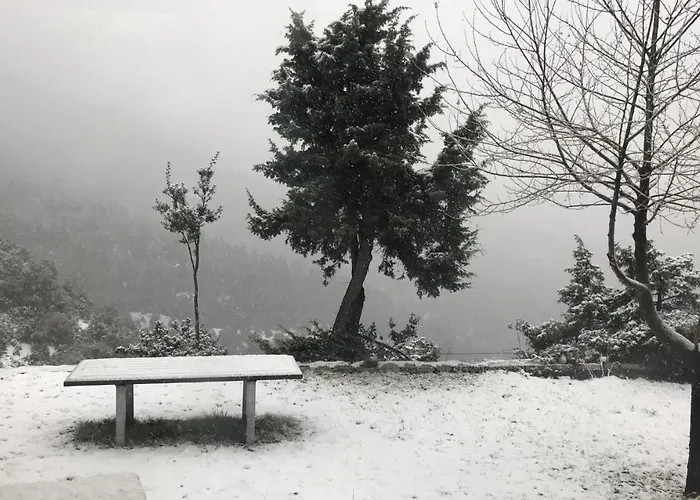 In The Forest 卡拉维塔