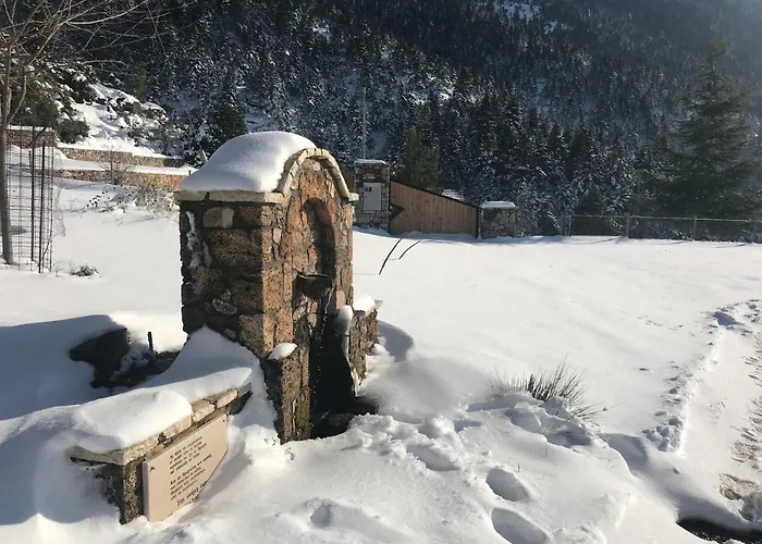 Lodge In The Forest *