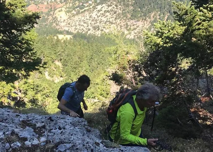 In The Forest * Kalavryta
